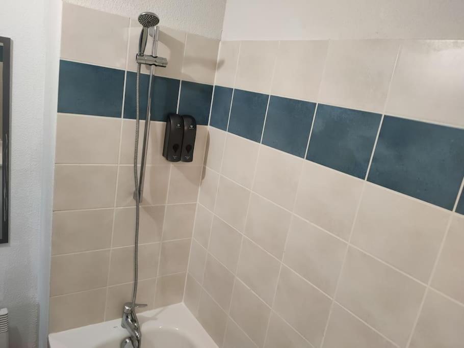 Spacieux Et Joli Appartement De 2 A 4 Personnes • Parking • Wifi Fenouillet  Екстериор снимка