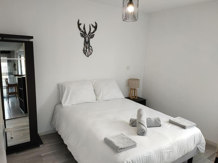 Spacieux Et Joli Appartement De 2 A 4 Personnes • Parking • Wifi Fenouillet  Екстериор снимка