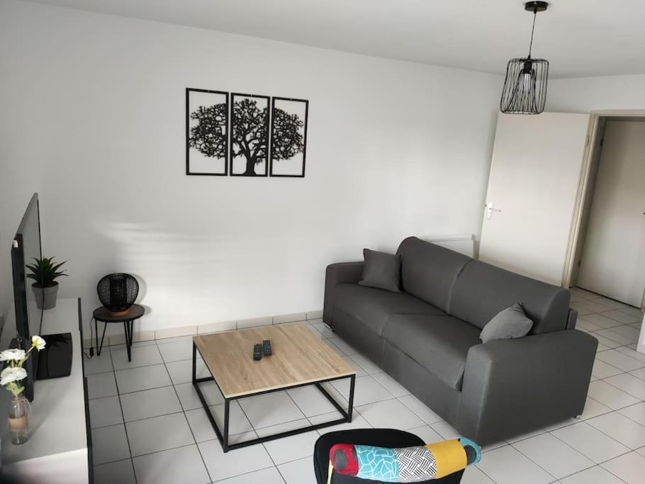 Spacieux Et Joli Appartement De 2 A 4 Personnes • Parking • Wifi Fenouillet  Екстериор снимка